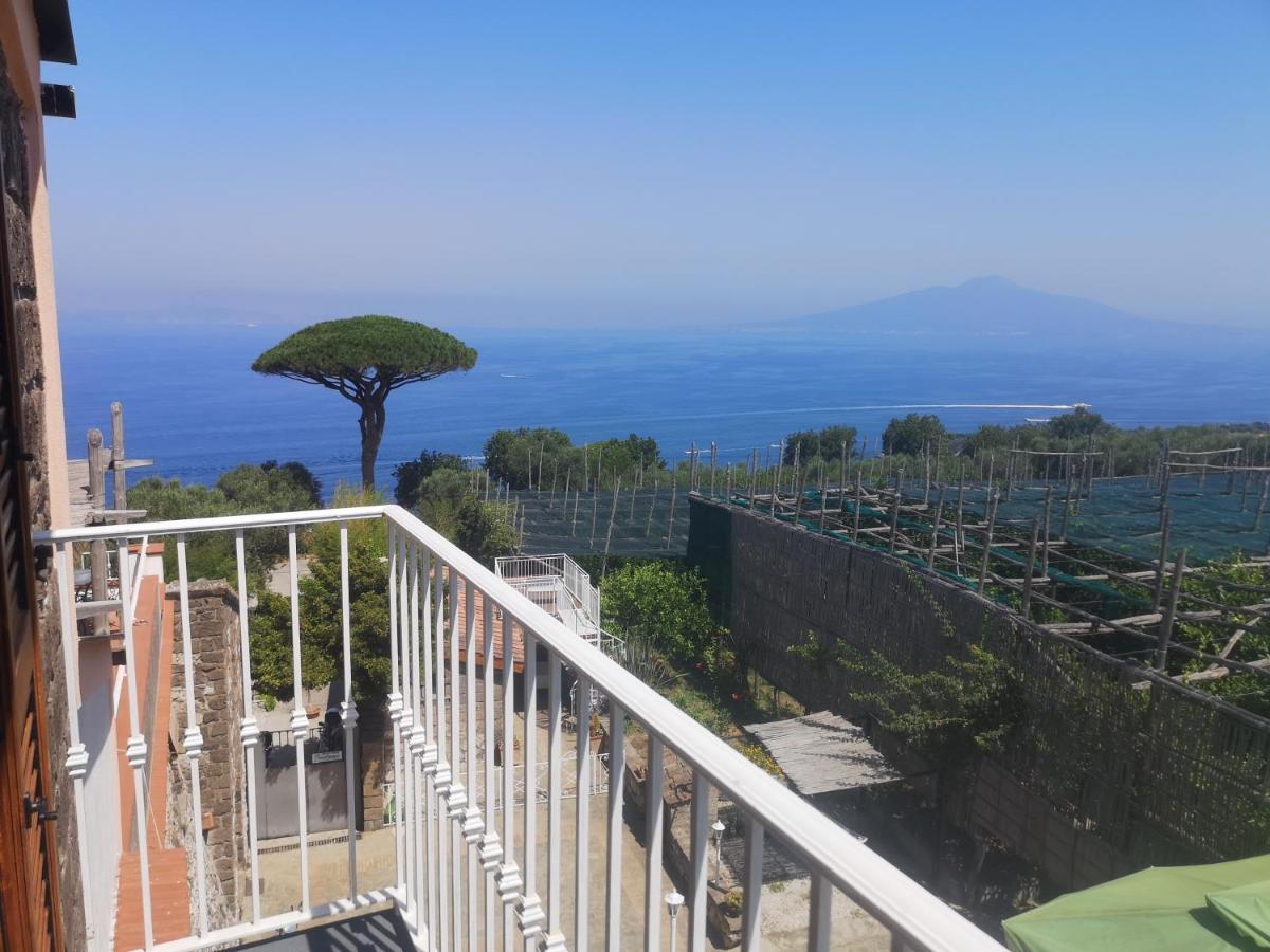 Agriturismo Il Giardino Di Vigliano Масса-Лубренсе Экстерьер фото