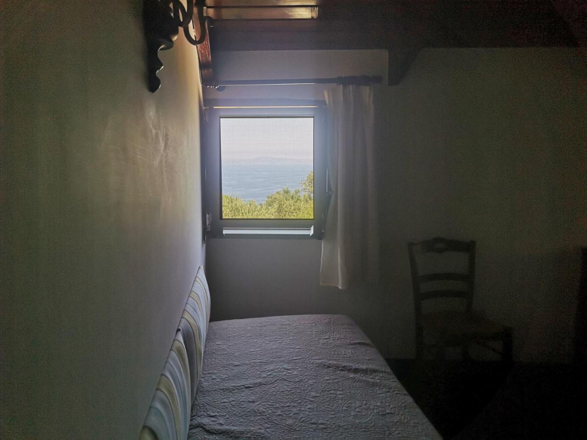 Agriturismo Il Giardino Di Vigliano Масса-Лубренсе Экстерьер фото
